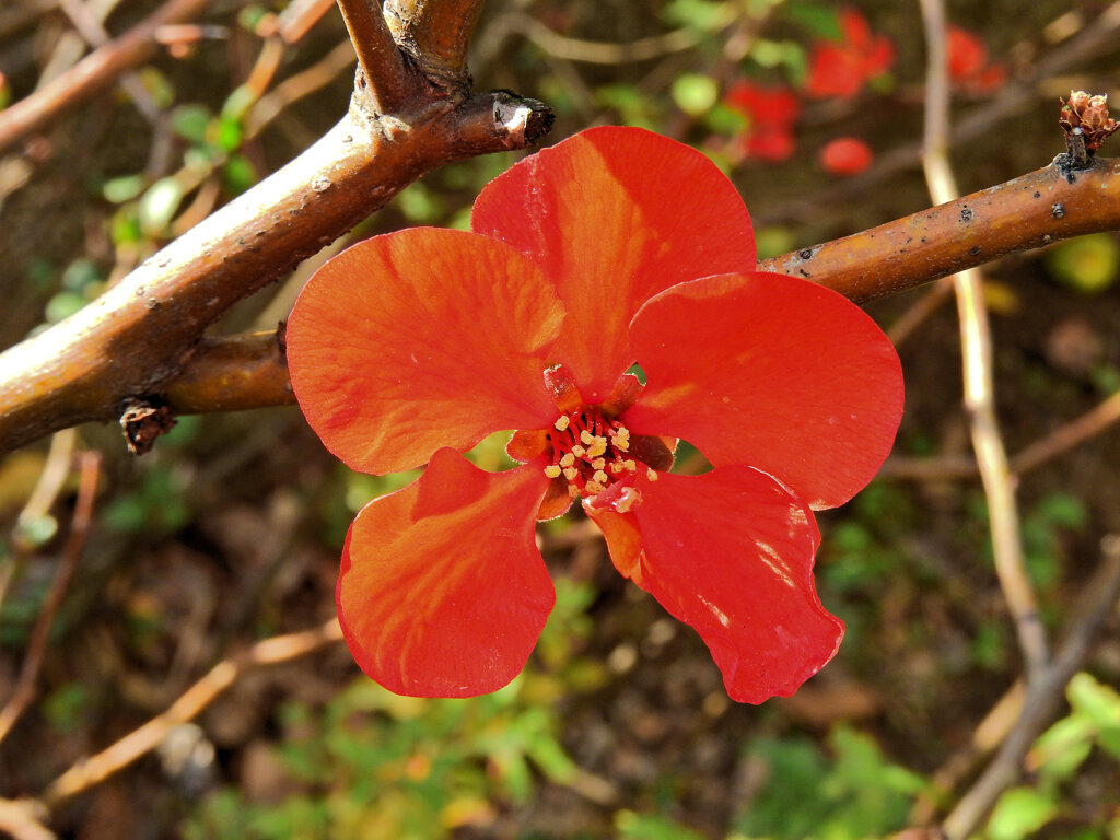 ぼぉけぇ～　２