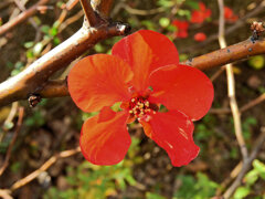 ぼぉけぇ～　２