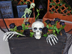 HappyHalloween Ψ(▼w▼)Ψ・:+╋* ☂ 3 HappyHalloween Ψ(▼w▼)Ψ・:+╋* ☂ 3