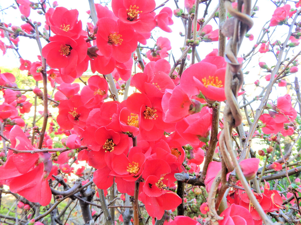 ぼぉけぇ～　２