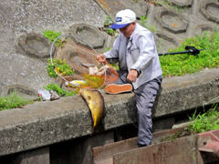 オジサンが釣り上げた>゜))))彡大物　3/3