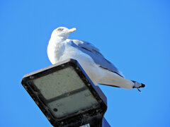 2026年　初撮り　４