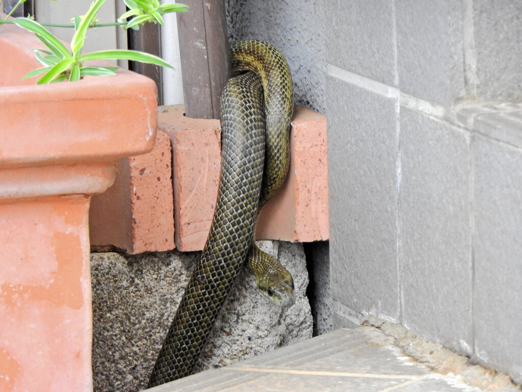ヘビィ~>゜)～～～　につき閲覧注意！！　６