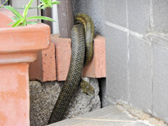 ヘビィ~>゜)～～～　につき閲覧注意！！　６