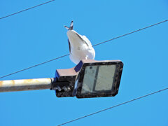 2026年　初撮り　３