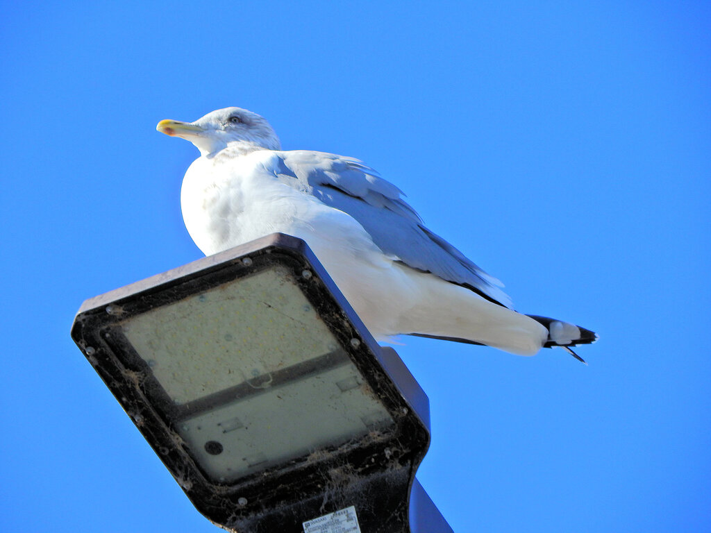 2026年　初撮り　５