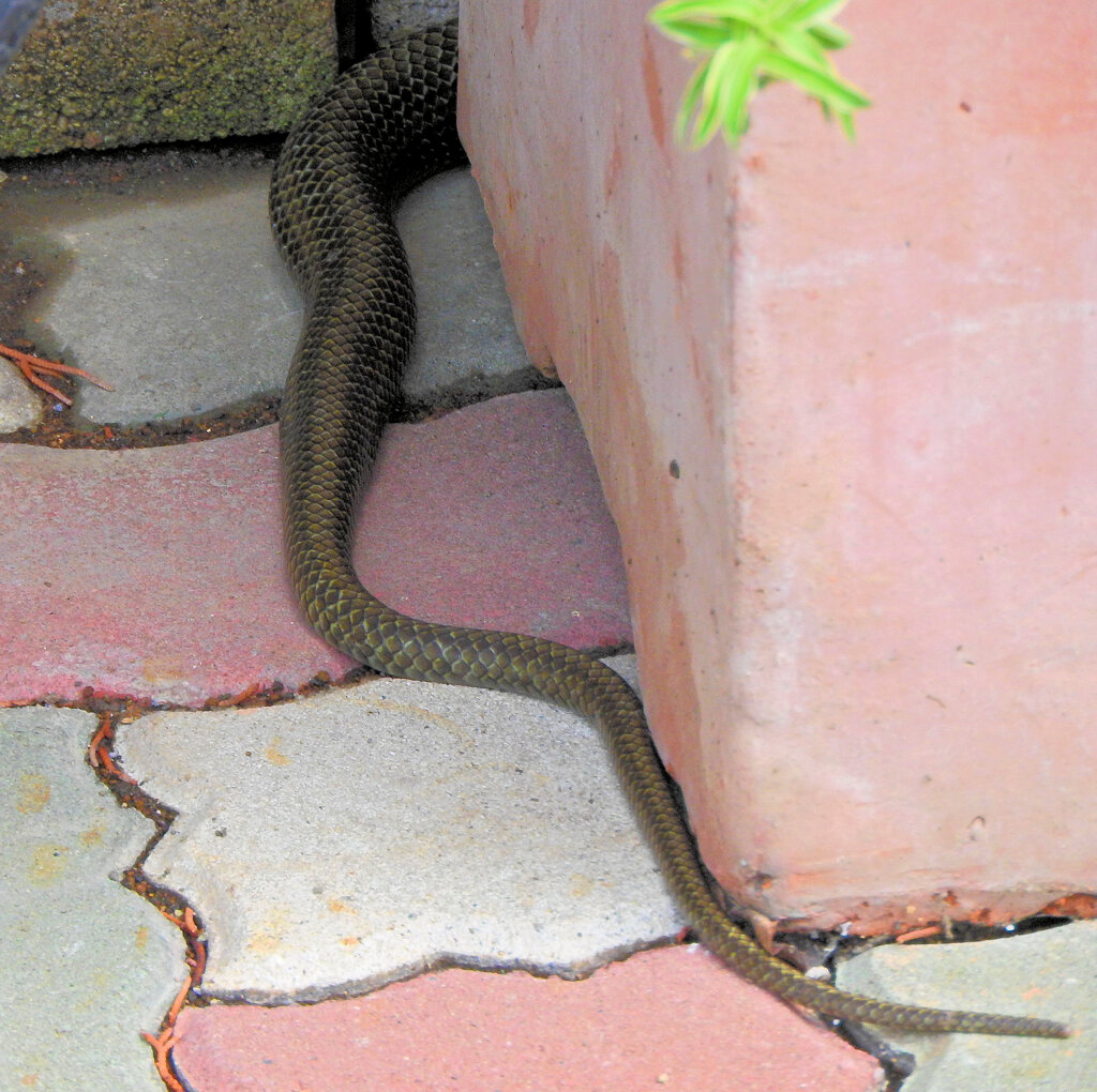 ヘビィ~>゜)～～～　につき閲覧注意！！　１