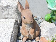 暑いピョン　／（≡￣ x ￣≡）＼　うさぎ