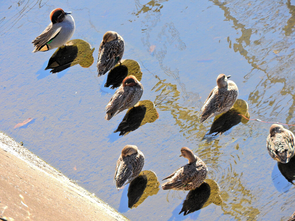 2026年　初撮り　８