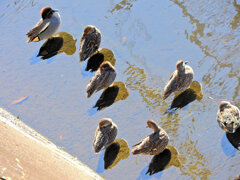 2026年　初撮り　８