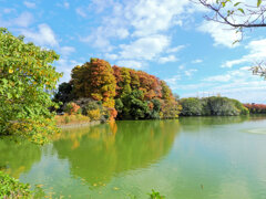 川崎市等々力緑地公園・・釣り堀池で　紅葉　２