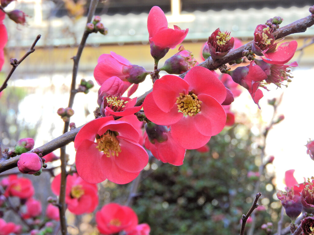 ぼぉけぇ～　５