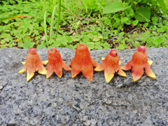 タコウィンナー焼けたよぉミ(。;)　ミ( )　彡(゜')　ミ(@ :)　1/2