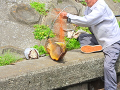 オジサンが釣り上げた>゜))))彡大物　2/3