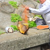 オジサンが釣り上げた>゜))))彡大物　2/3