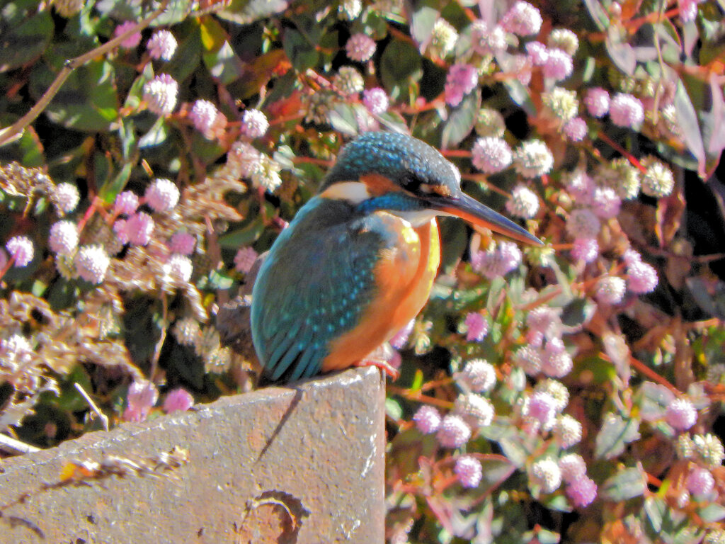 2026年　初撮り　１０