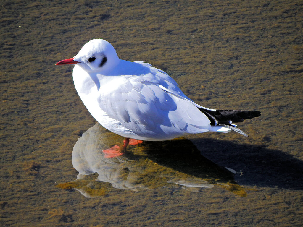 2026年　初撮り　２