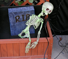 HappyHalloween Ψ(▼w▼)Ψ・:+╋* ☂ 2 HappyHalloween Ψ(▼w▼)Ψ・:+╋* ☂ 2