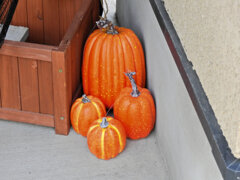 HappyHalloween Ψ(▼w▼)Ψ・:+╋* ☂ 5 HappyHalloween Ψ(▼w▼)Ψ・:+╋* ☂ 5