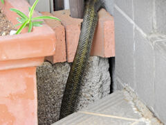 ヘビィ~>゜)～～～　につき閲覧注意！！　２