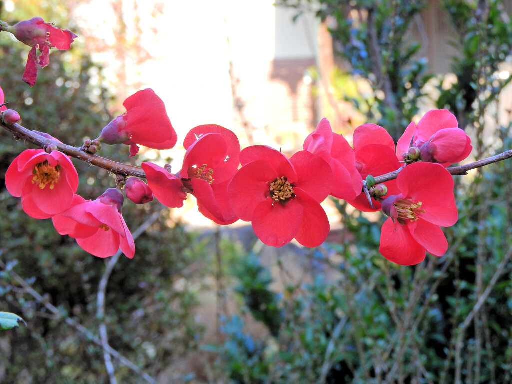 ぼぉけぇ～　４