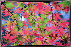 ♥年末のご挨拶♥