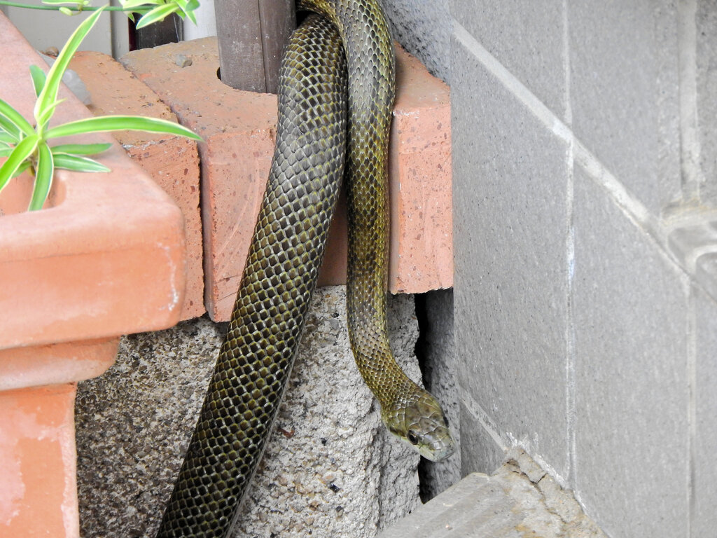 ヘビィ~>゜)～～～　につき閲覧注意！！　５