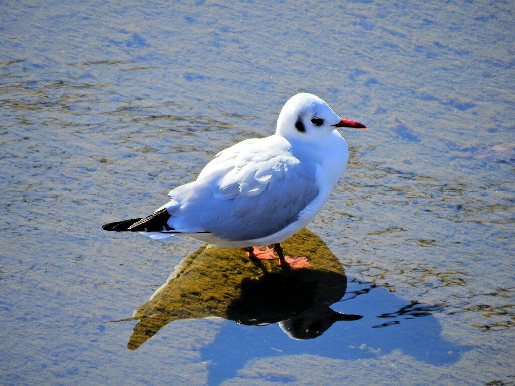 2026年　初撮り　１