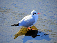 2026年　初撮り　１