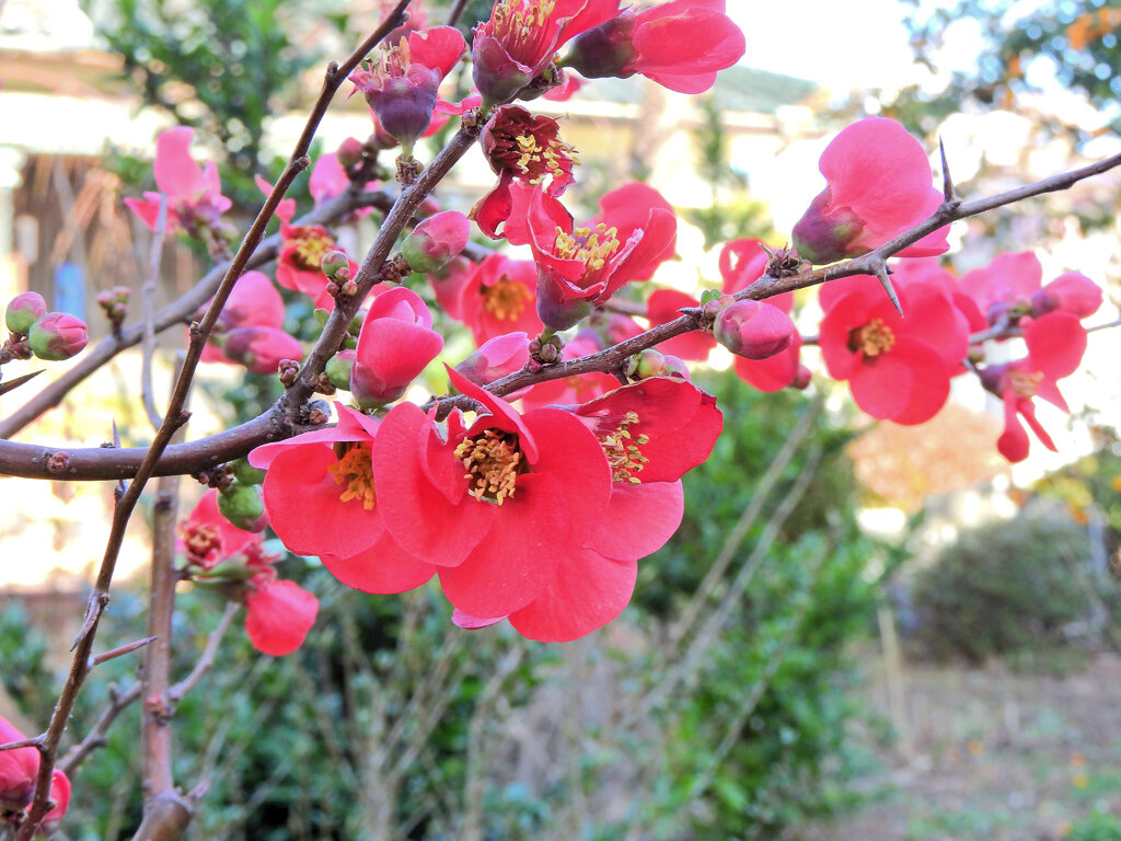 ぼぉけぇ～　３