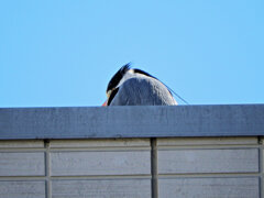 2026年　初撮り　７