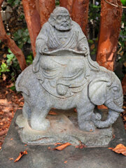 近所のお寺の参道で　１６