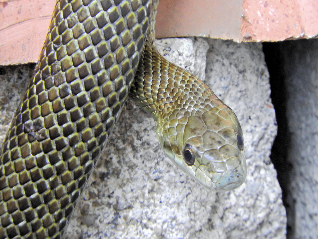 ヘビィ~>゜)～～～　につき閲覧注意！！　７