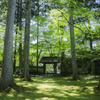 新緑庭園