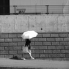 日傘季節の前触れ