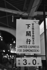 旅情