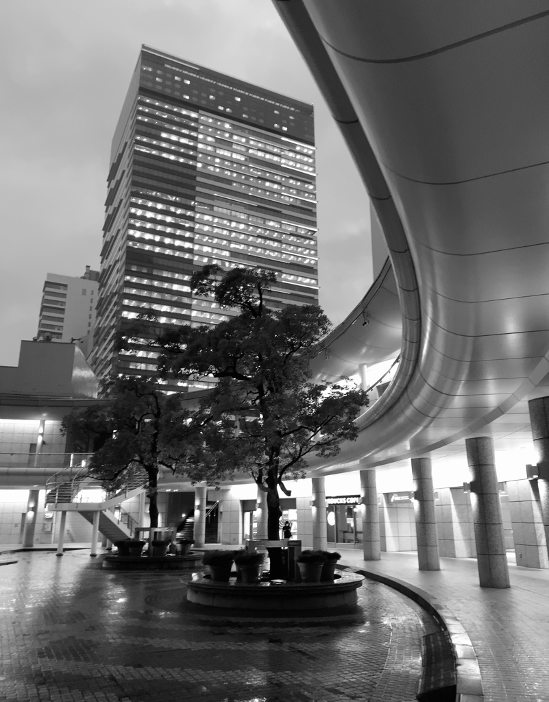 Rhythm of the Rain