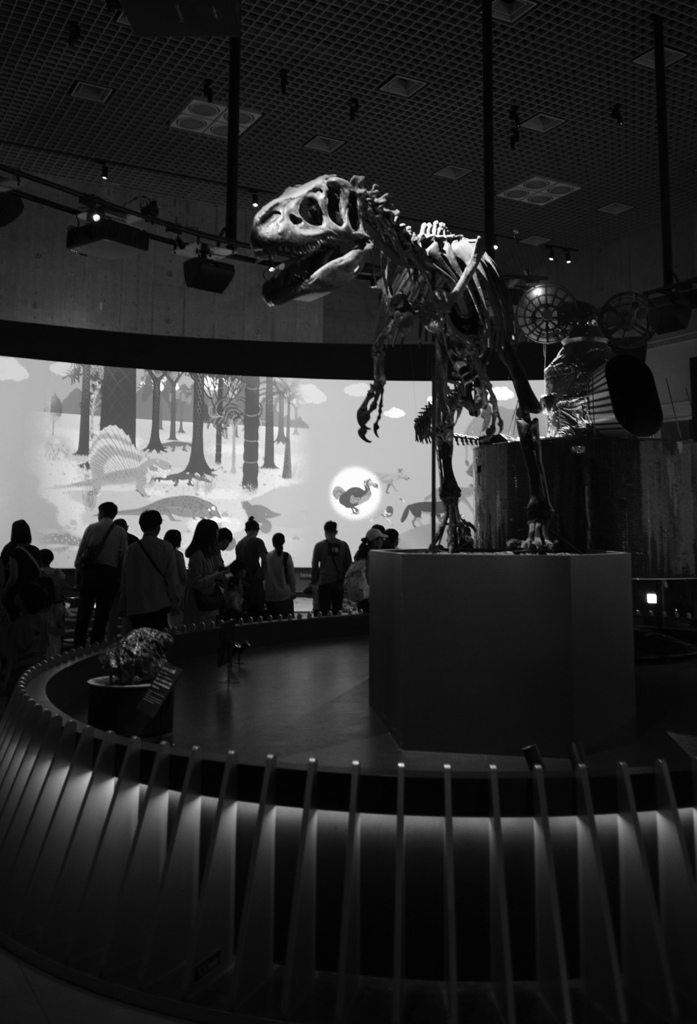 Night at the Museum