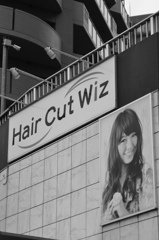 One Cut