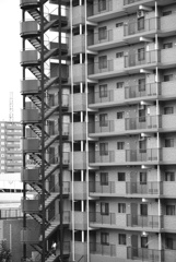 Metropolis
