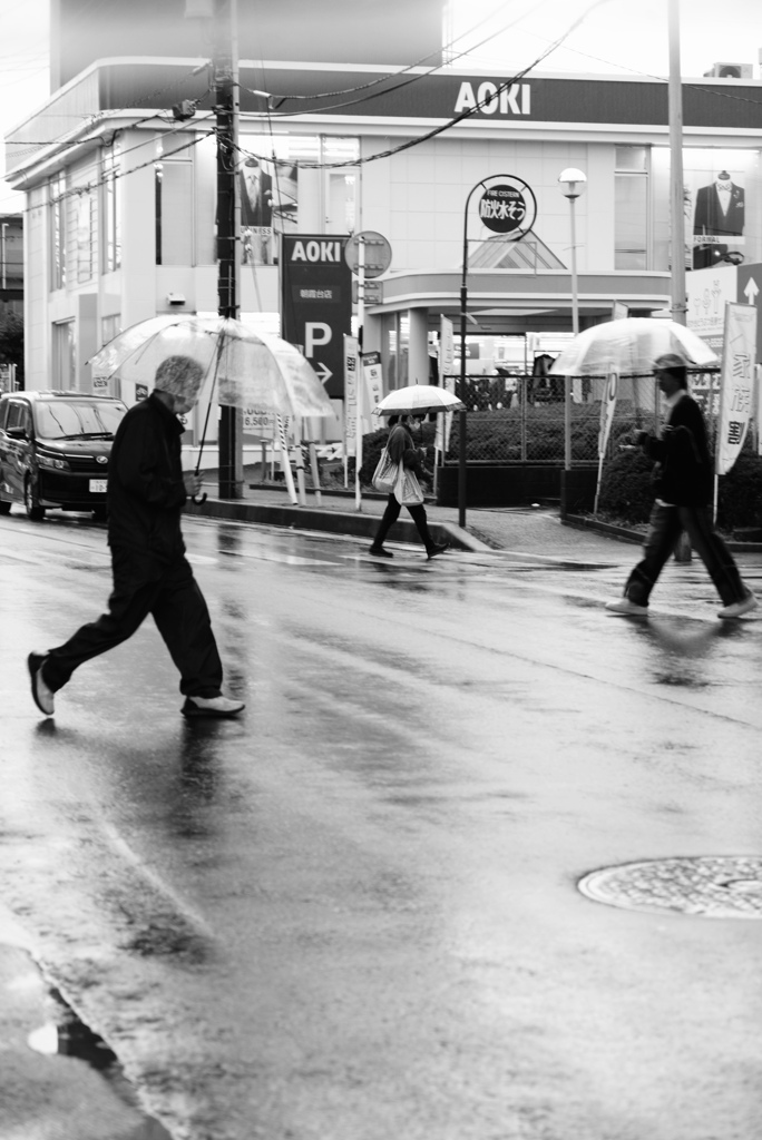 umbrella