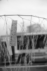 小さな願い