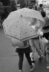雨の通学路