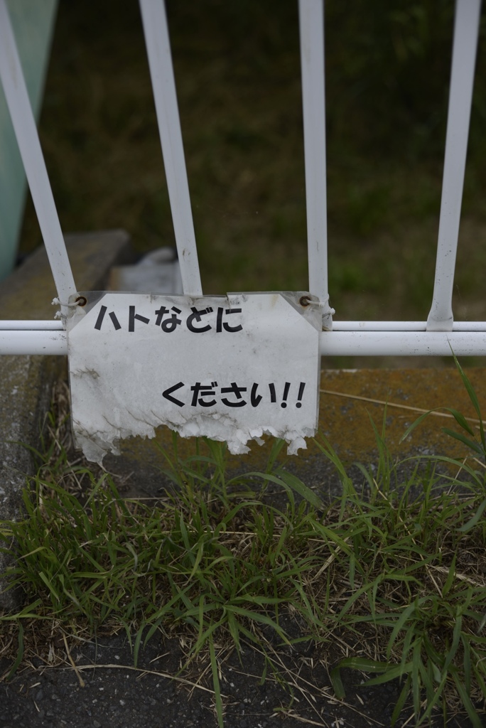 給付金の季節
