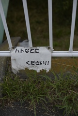 給付金の季節