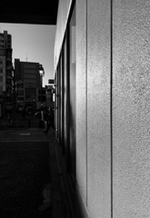 意志の勝利