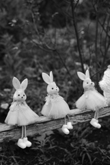 プリンセス達のオフ会