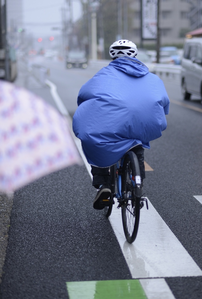風にも負けず