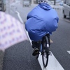 風にも負けず