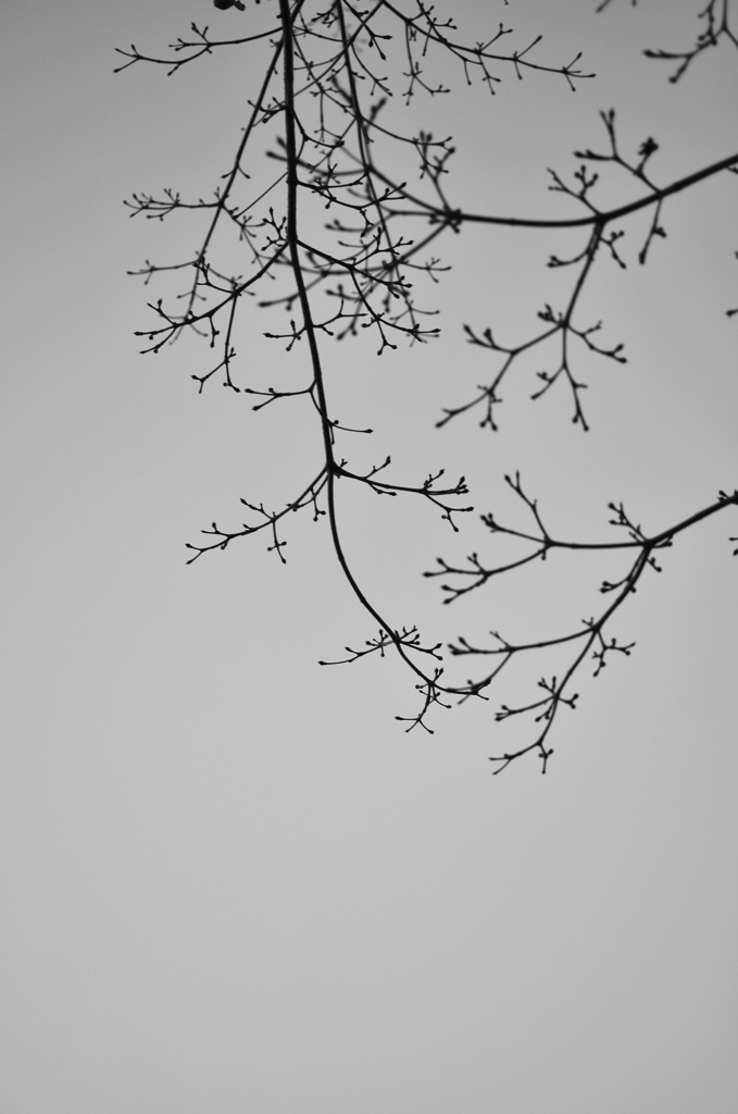 幸せの秘訣は何も起こらないことだ